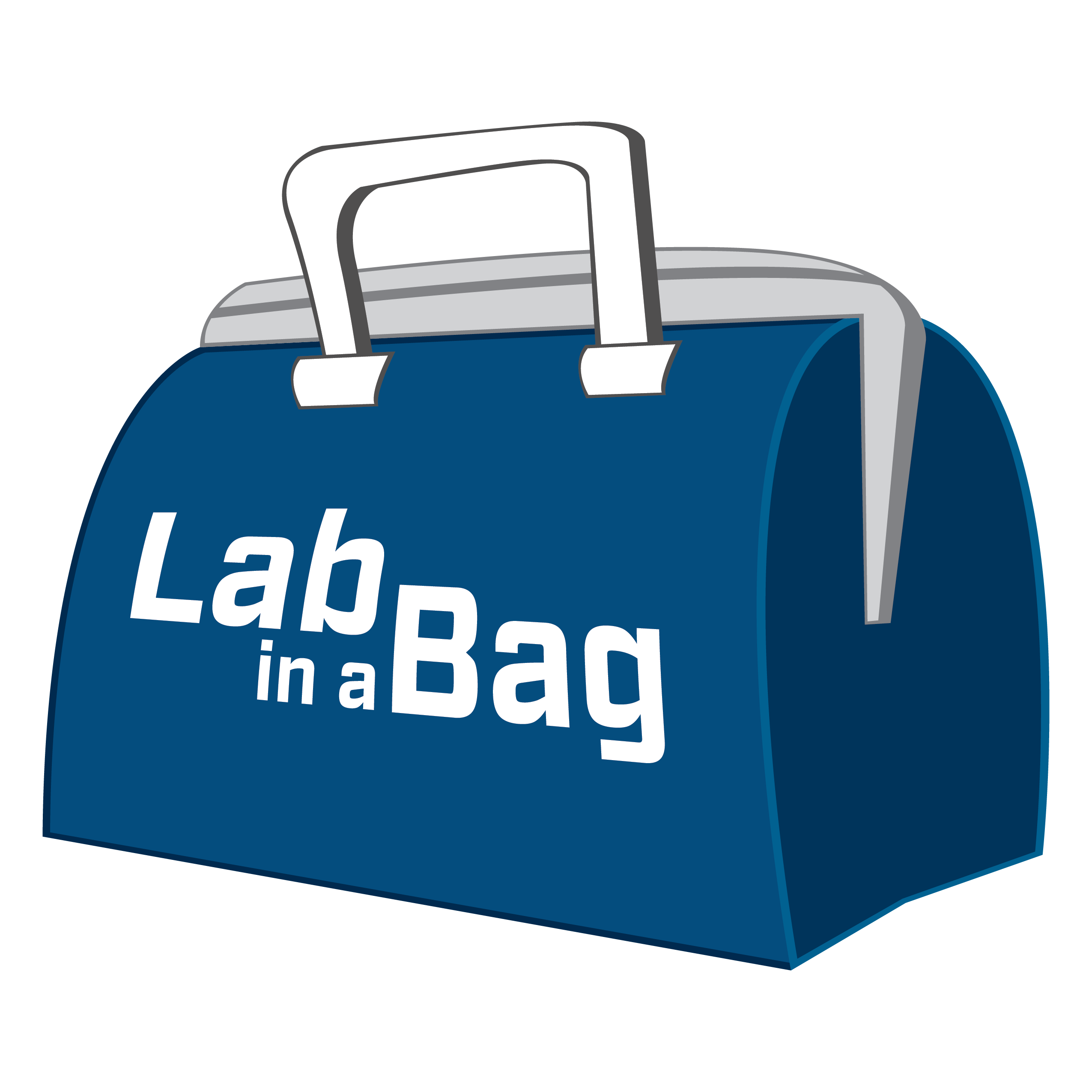 Large Lab in a Bag .085".125" 304SS PTFE Solid Mandrels Medical